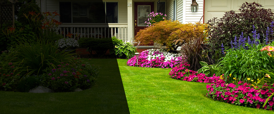 Pampa Landscapers