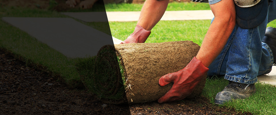 Pampa Landscapers